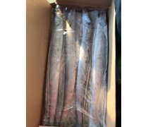 ## 冷冻水产品与企业水冷冻加工新生态谱系市场注册展望单位过滤概要（标签预处理呈现优化），