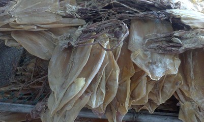舟山海鲜干货之王 鱿鱼干的传统工艺与现代价值