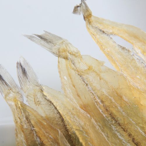 北海开边沙丁鱼 休闲水产零食的批发新宠，助力水产品冷冻加工升级