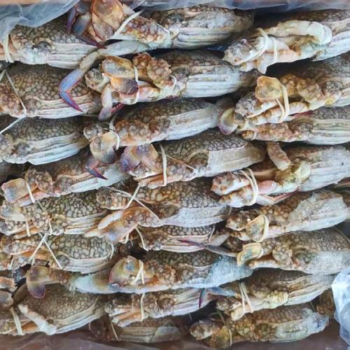 蟹梭子蟹新鲜冷冻切割海鲜水产火锅烧烤食材批发切蟹块饱满蟹肉&yen;